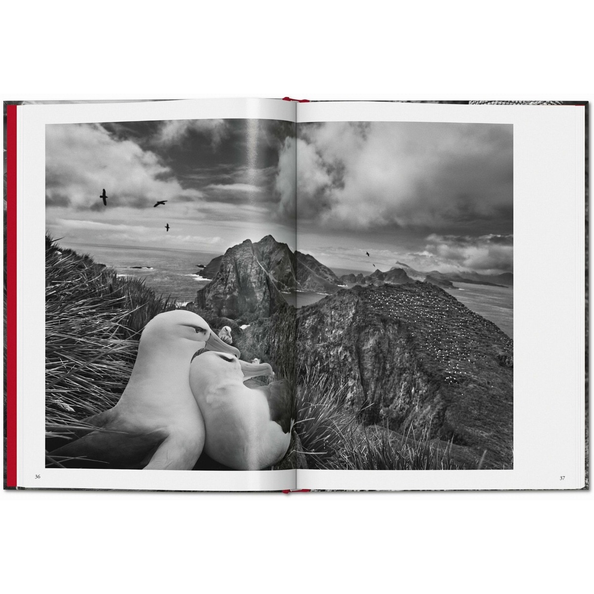 Sebastião Salgado. Génesis (Capa dura) 3