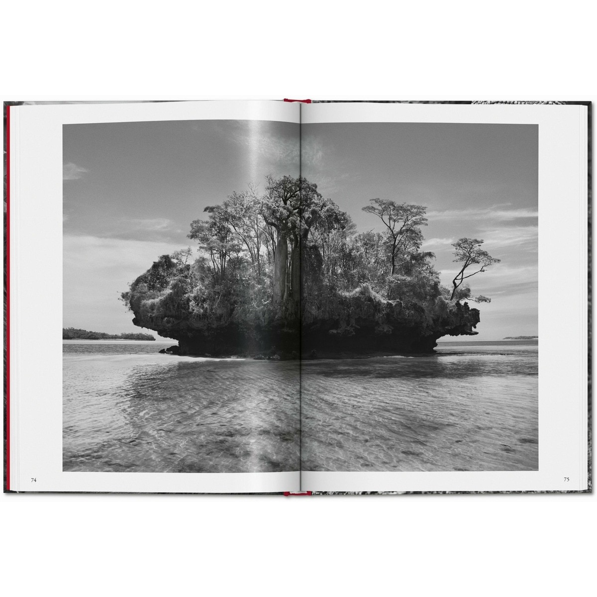 Sebastião Salgado. Génesis (Capa dura) 6