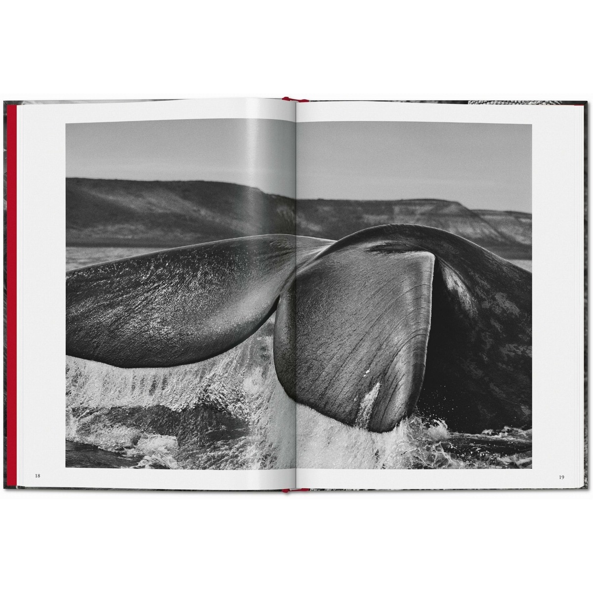Sebastião Salgado. Génesis (Capa dura) 7