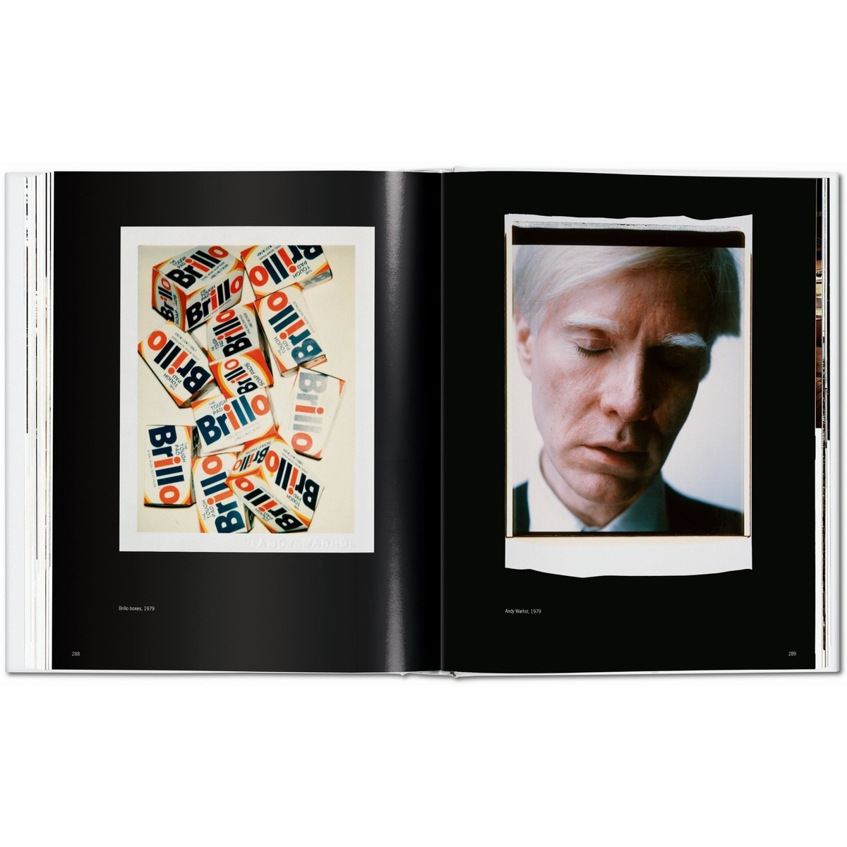 Andy Warhol. Polaroids 1958-1987 (Capa dura) 7