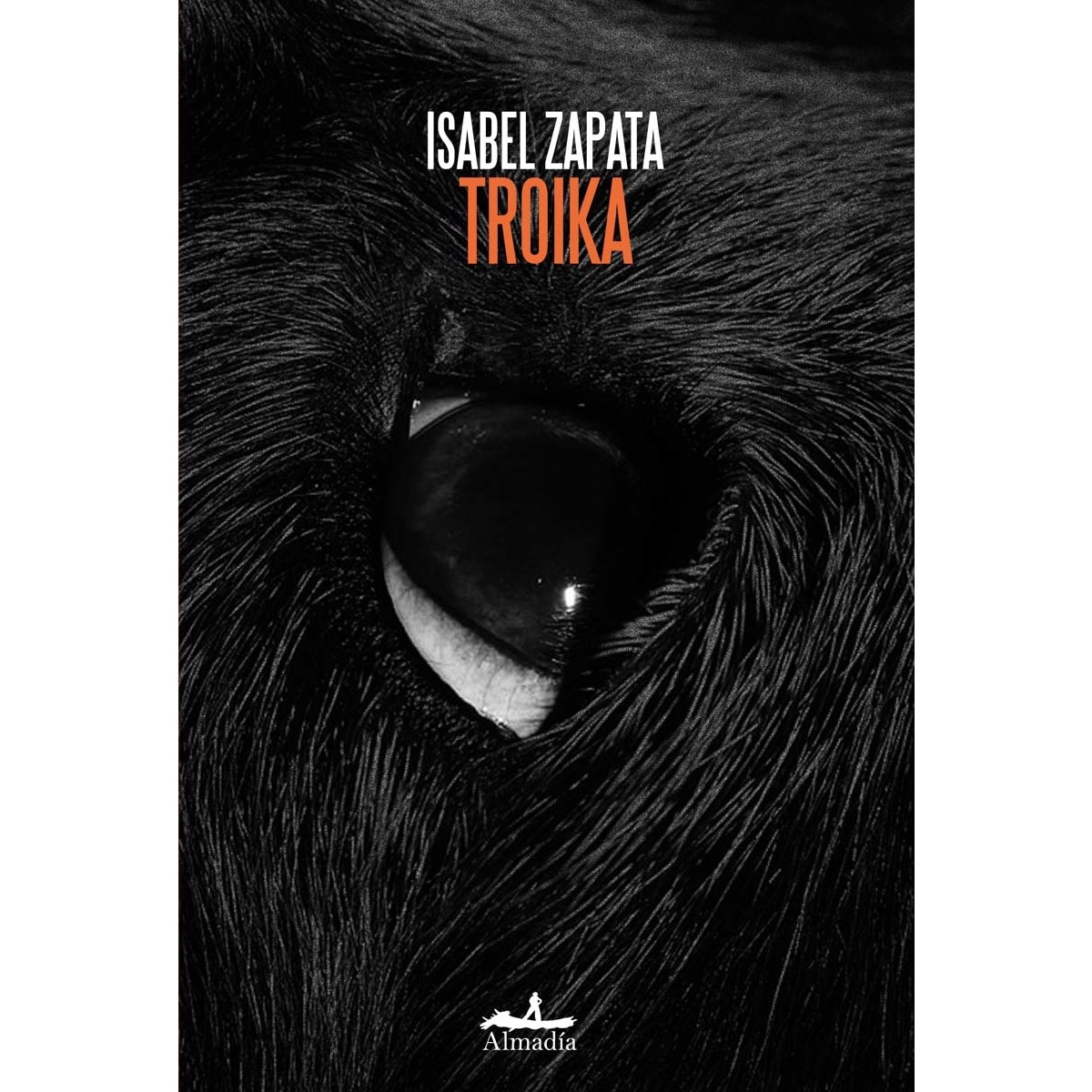 Imagem 0 de Troika (Capa mole com abas)