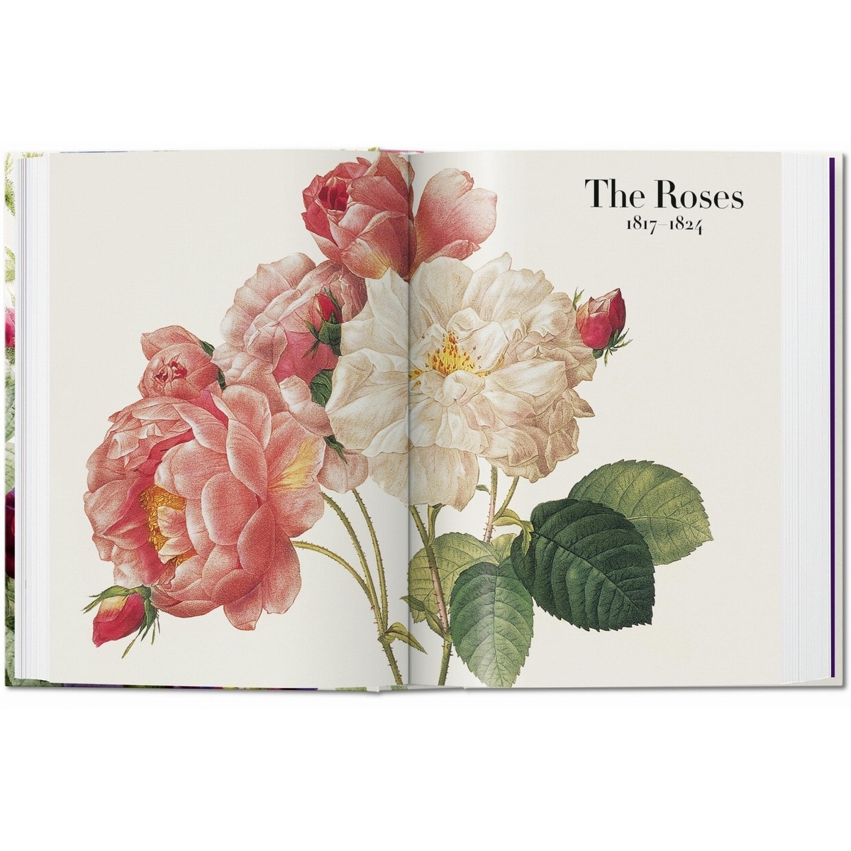Redouté. El libro de las flores. 45th Ed. (Capa dura) 2