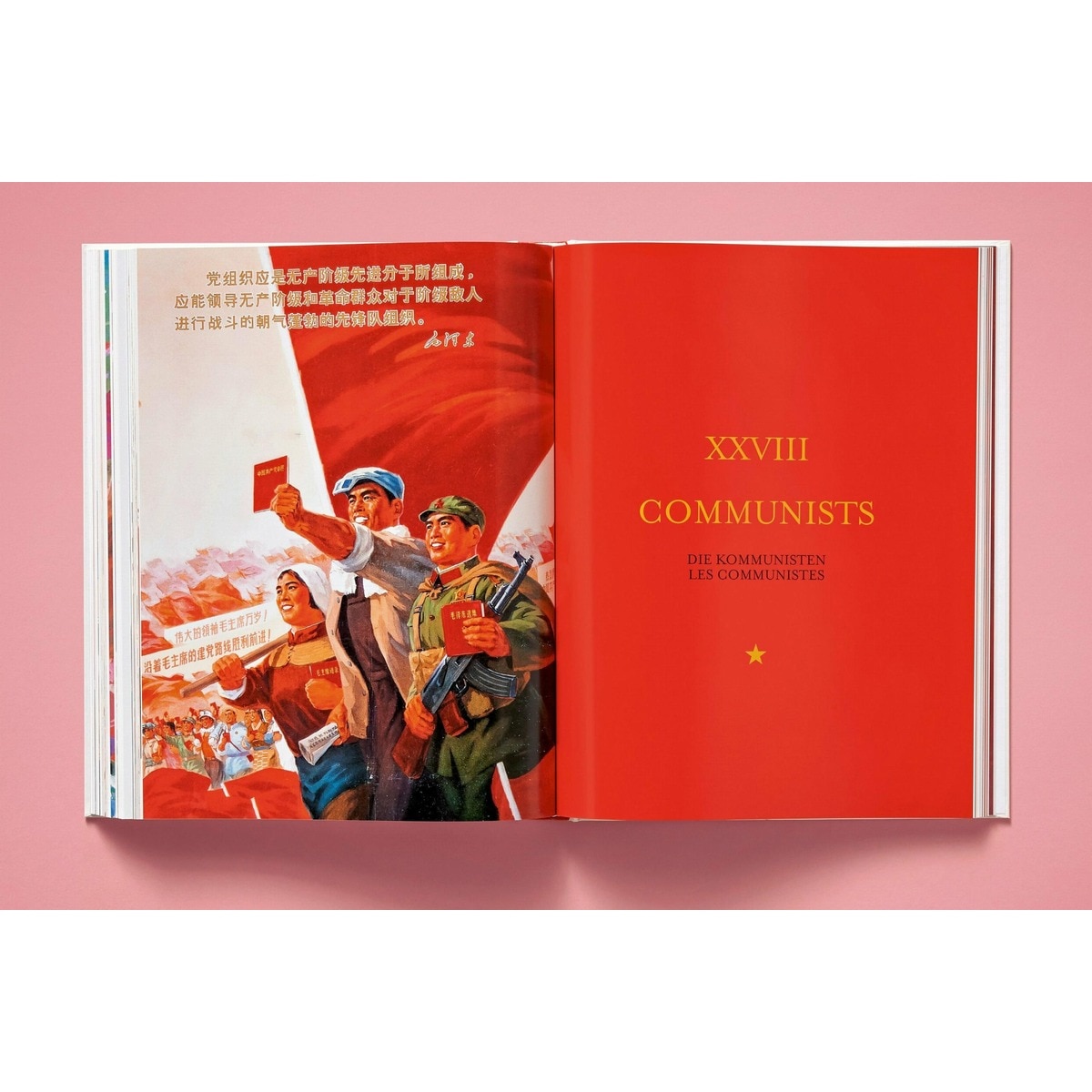 Chinese Propaganda Posters (Capa dura) 14