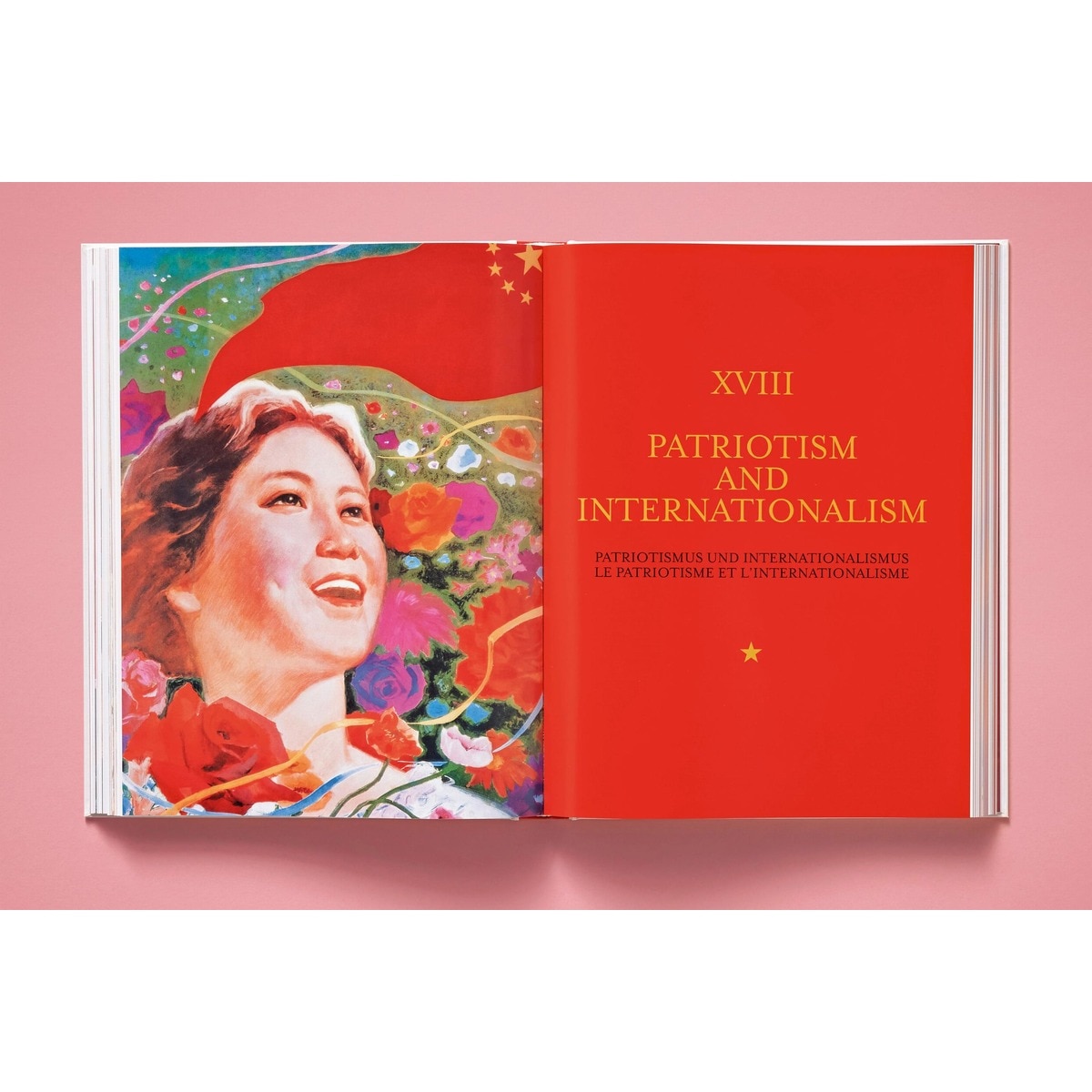 Chinese Propaganda Posters (Capa dura) 5