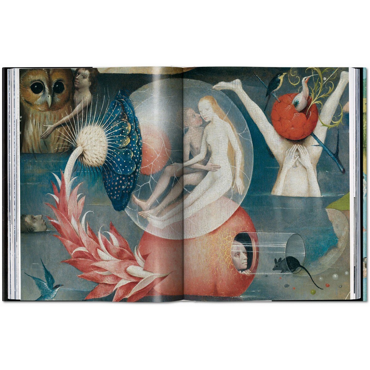 Bosch. The Complete Works (Capa dura) 6