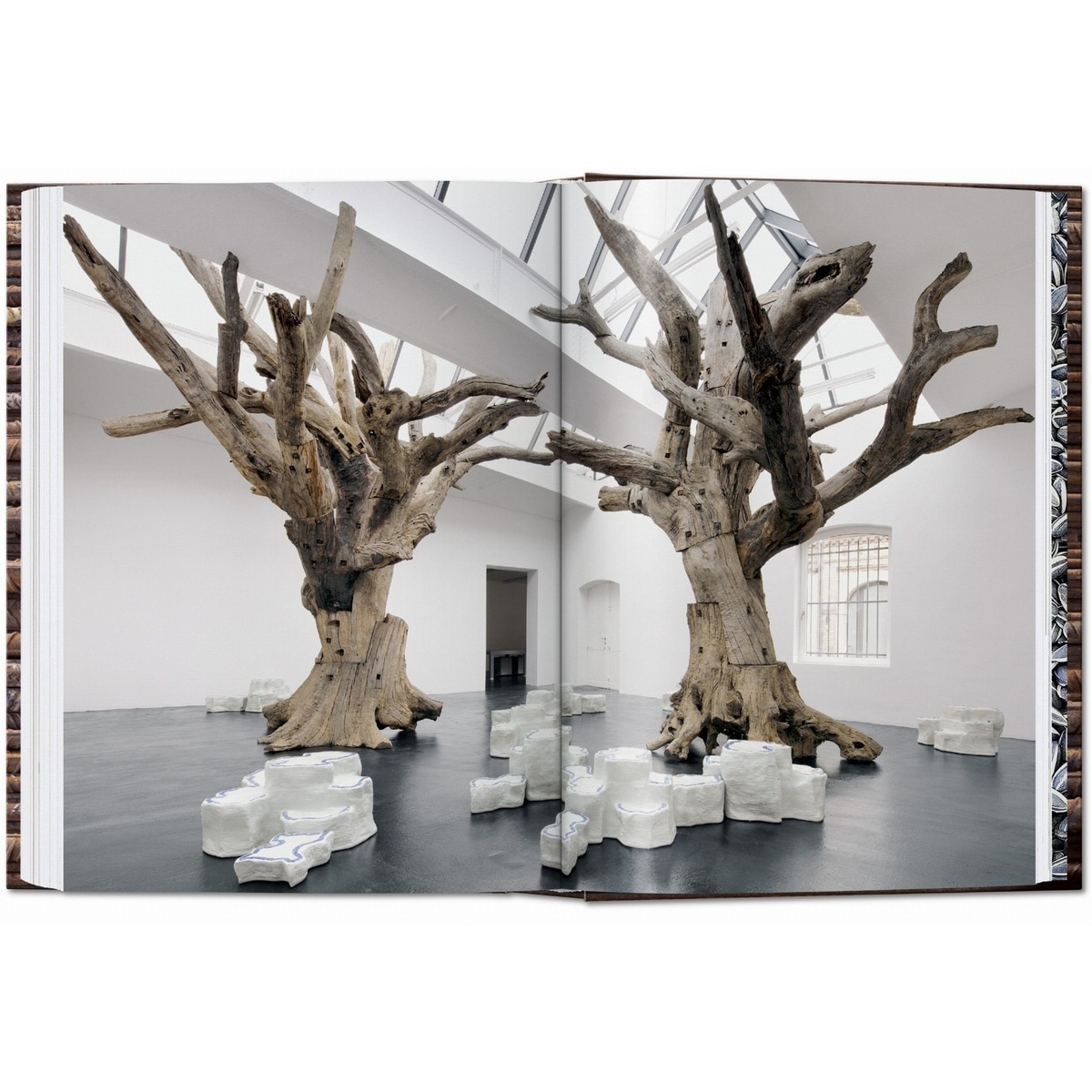 Ai Weiwei. 40th Ed. (Capa dura) 4