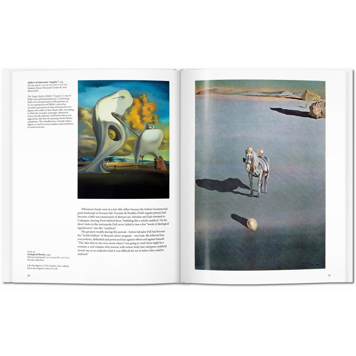 Dalí (Capa dura) 3