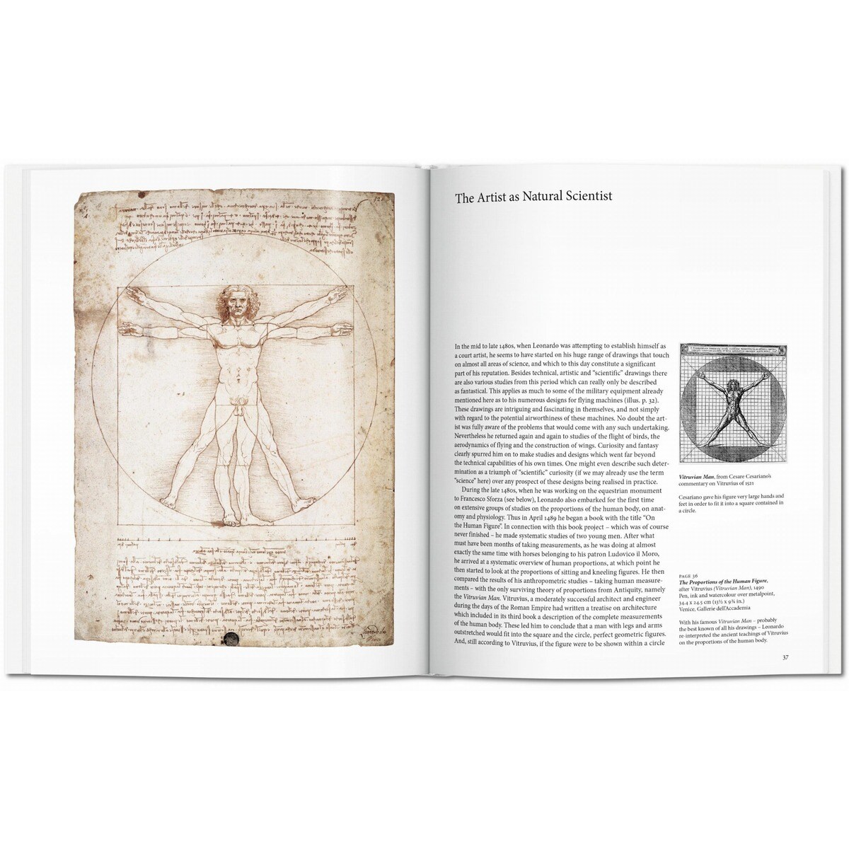 Leonardo (Capa dura) 3