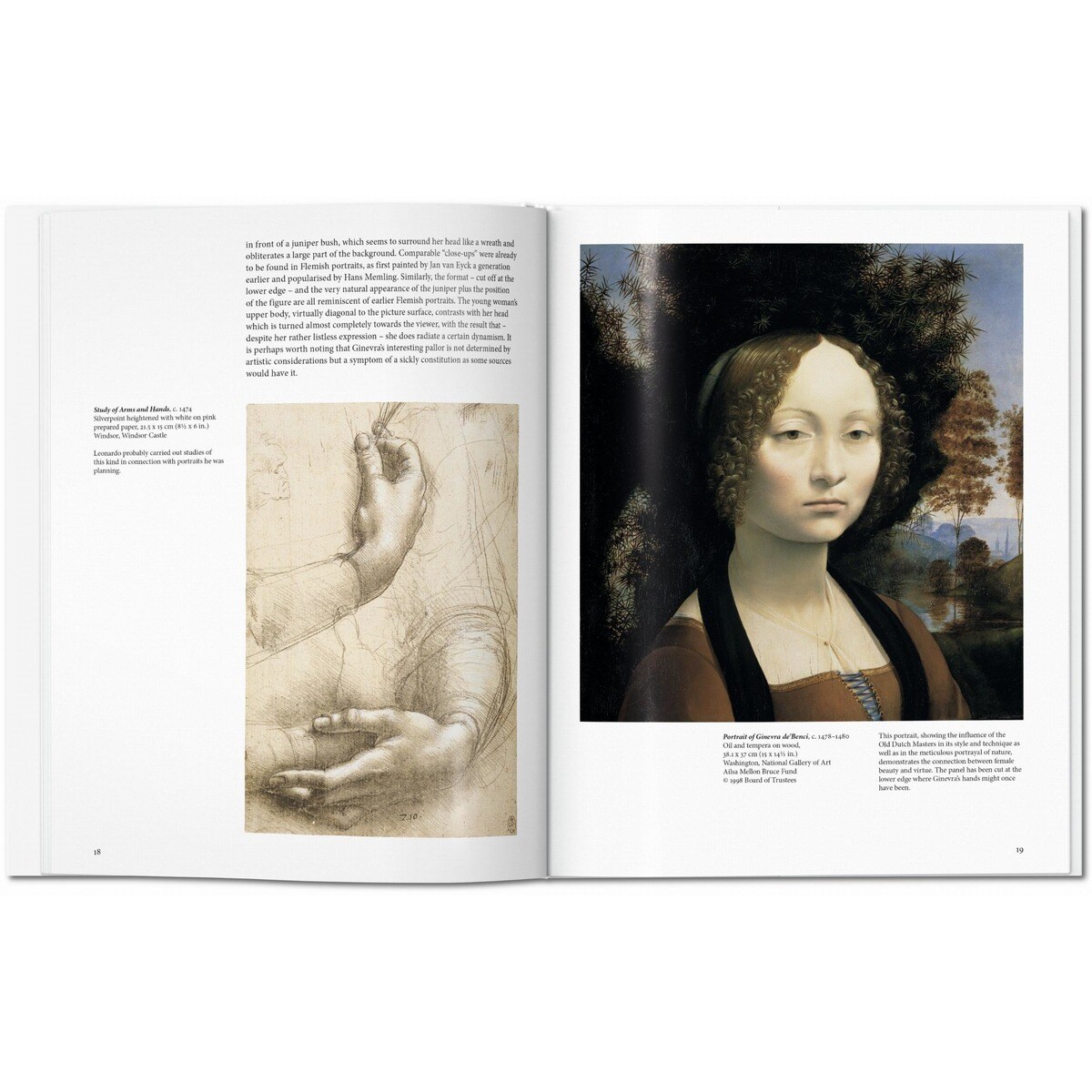 Leonardo (Capa dura) 7
