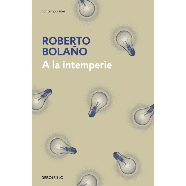 Imagem 0 de A la intemperie: Colaboraciones periodísticas, intervenciones públicas y ensayos (Bolso)