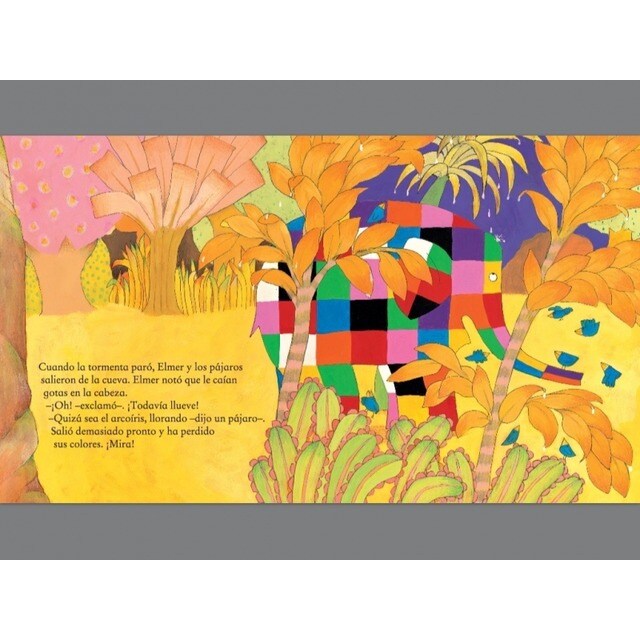 Elmer. Un cuento - Elmer y el arcoíris (Capa dura) 4