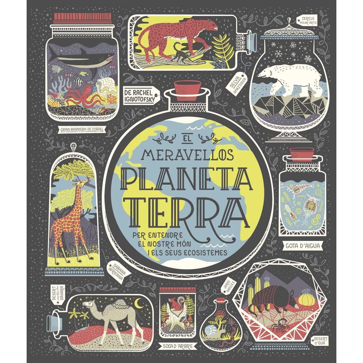 Imagem 0 de El meravellós planeta Terra: Per entendre el noste món i els seus ecosistemes (Capa dura)