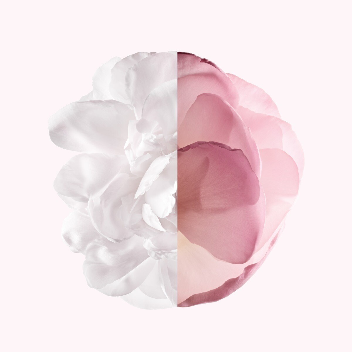 Irresistible Eau de Parfum Very Floral - 80 ml 4