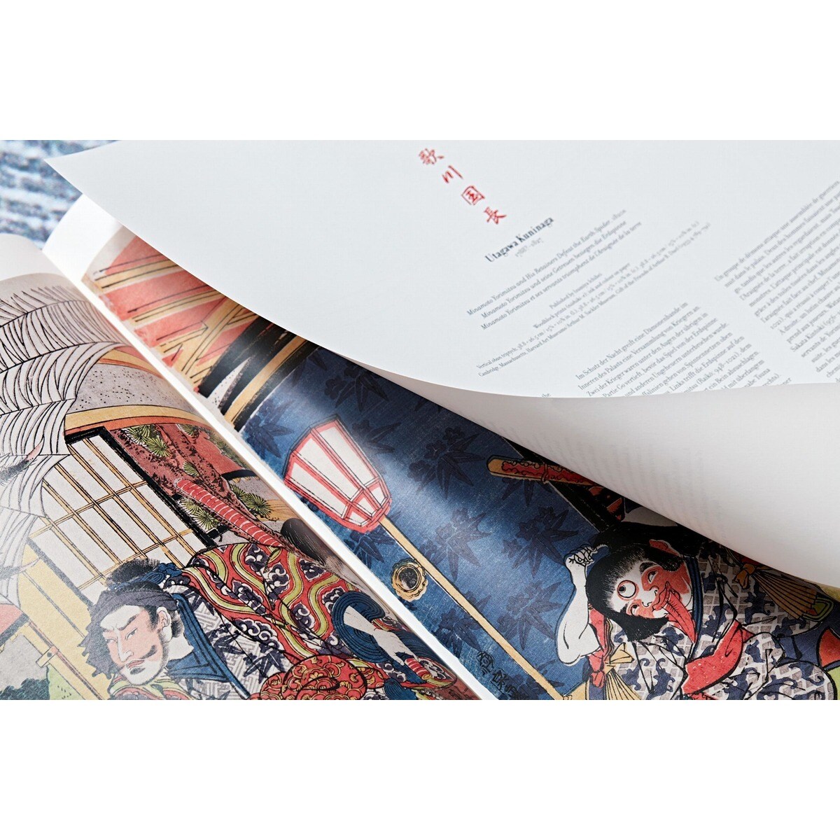 Japanese Woodblock Prints (Capa dura) 21