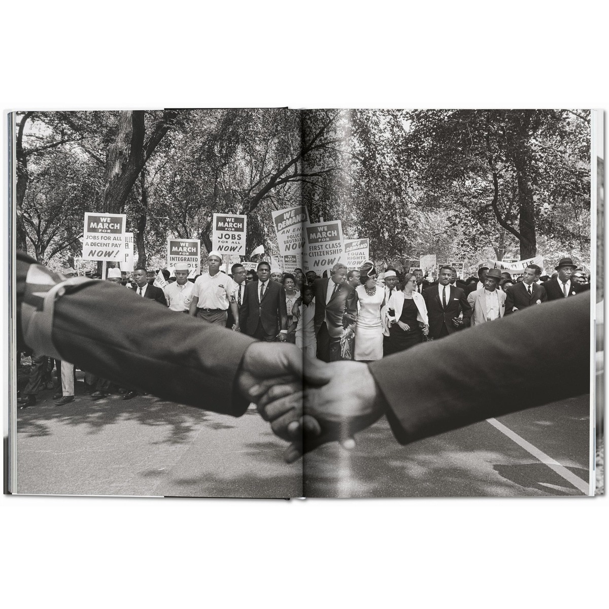 James Baldwin. Steve Schapiro. The Fire Next Time (Capa dura) 5