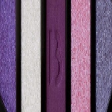PURPLE ECHO