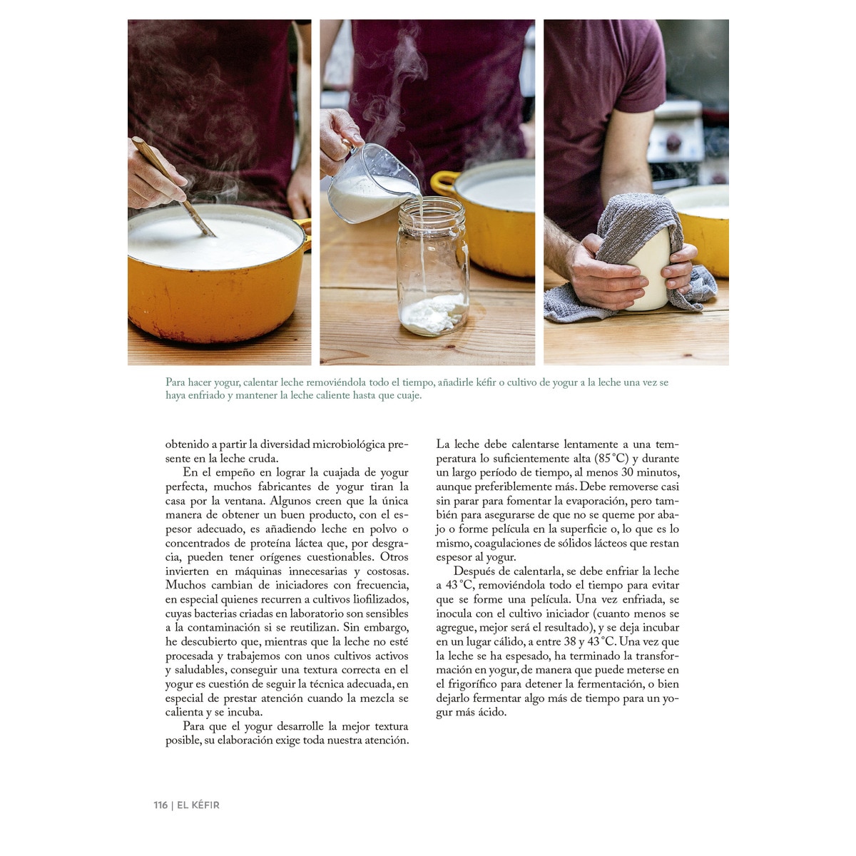 El arte de hacer queso (Capa mole com abas) 7