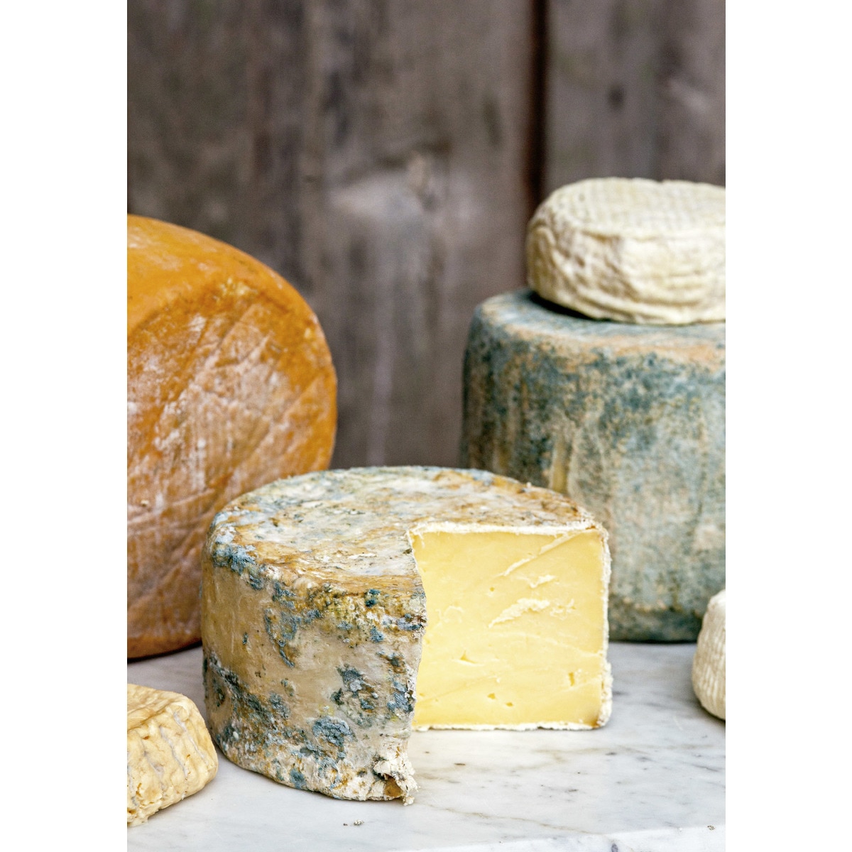 El arte de hacer queso (Capa mole com abas) 2