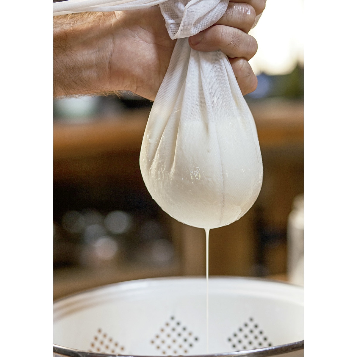 El arte de hacer queso (Capa mole com abas) 4