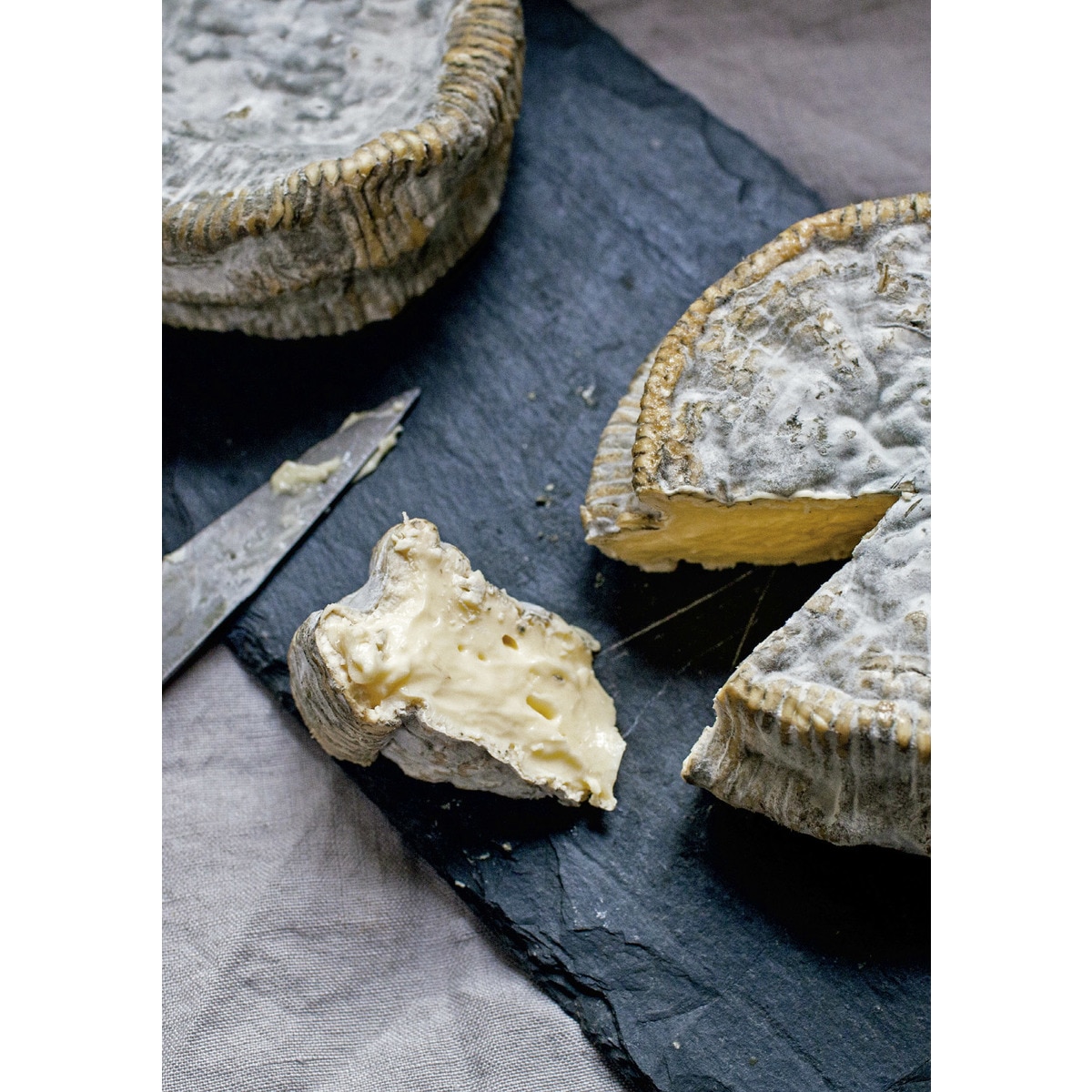 El arte de hacer queso (Capa mole com abas) 6