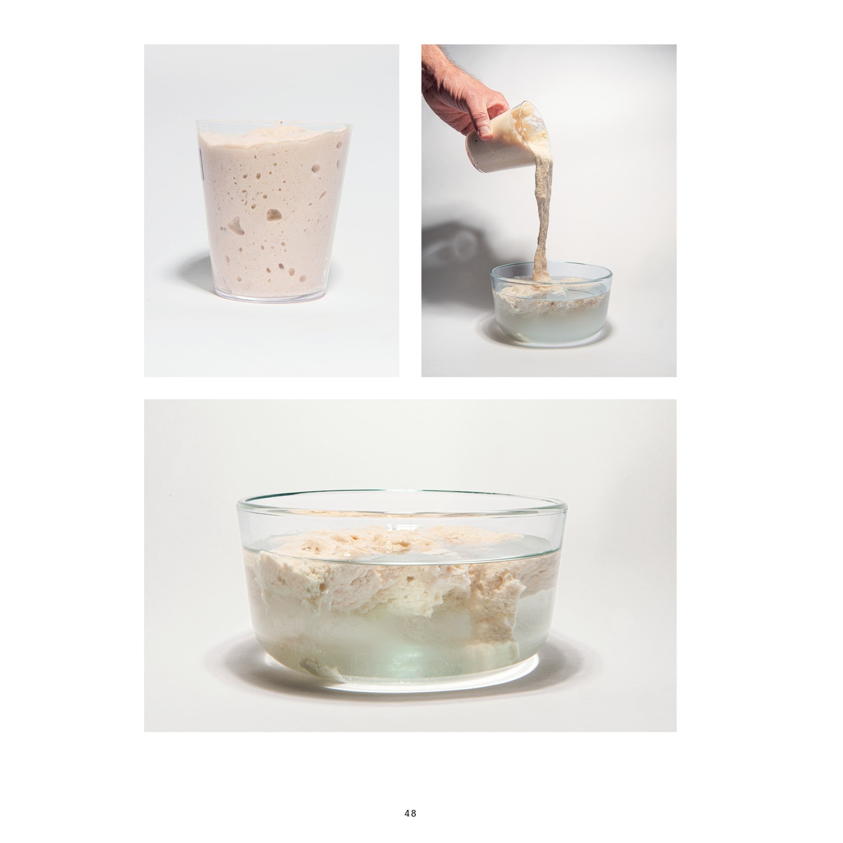 El libro del pan: Reflexiones e innovaciones sobre el futuro de los cereales, la harina y la fermentación 7