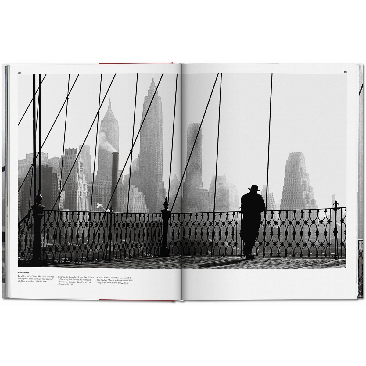 New York. Portrait of a City (Capa dura) 4