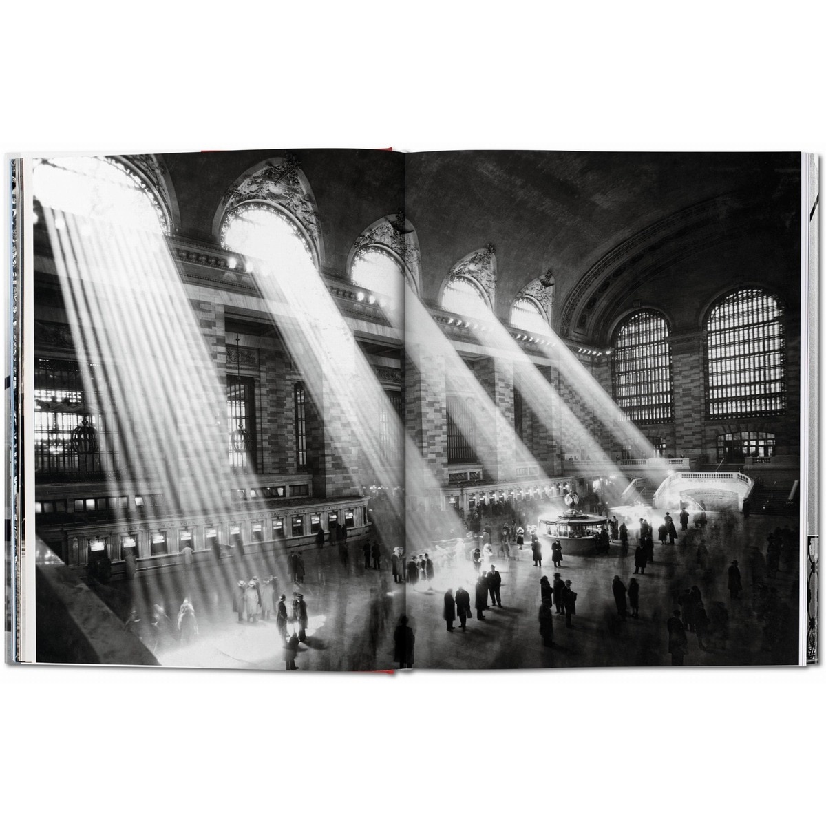 New York. Portrait of a City (Capa dura) 5