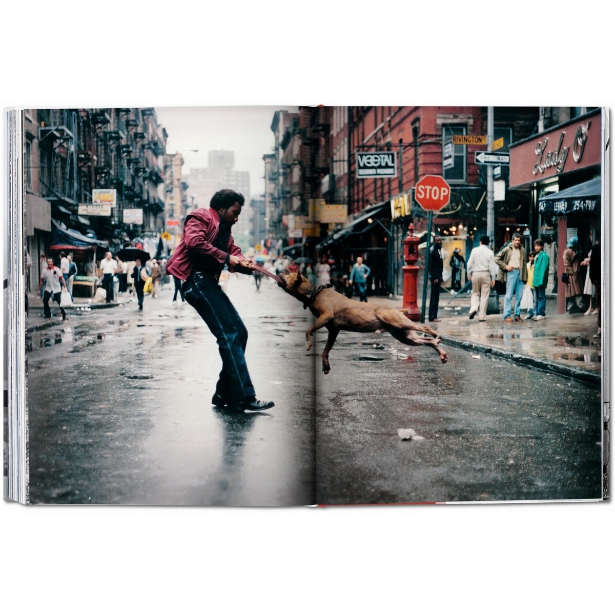 New York. Portrait of a City (Capa dura) 7