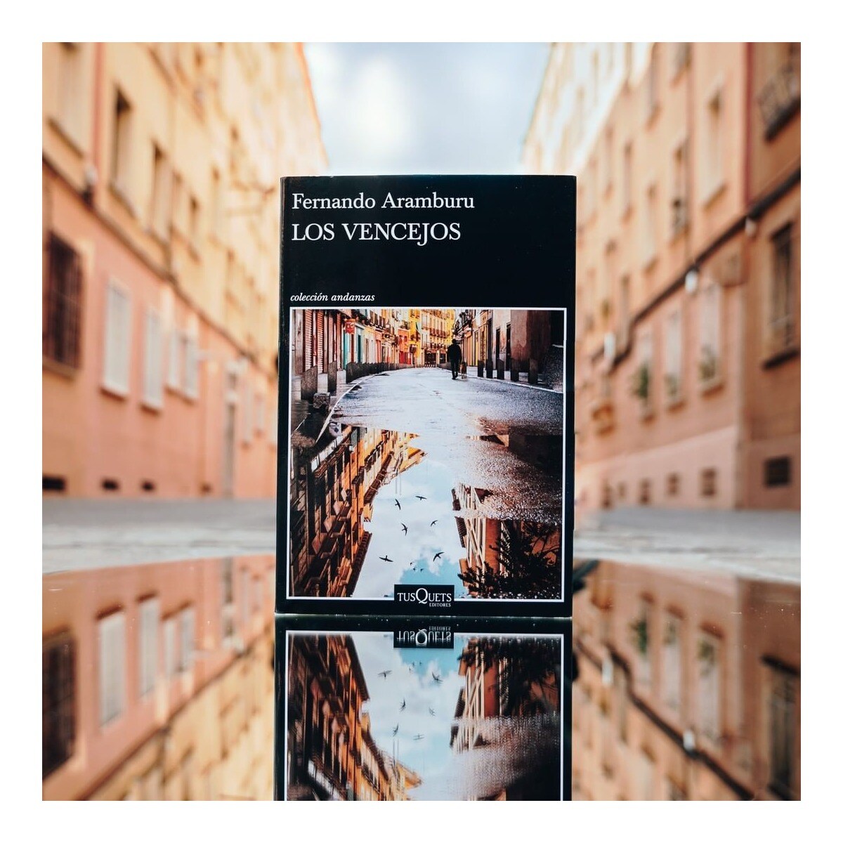 Los vencejos  (Bolsillo) 3