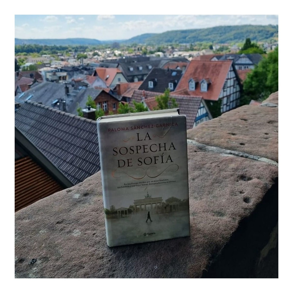 La sospecha de Sofía  (Tapa dura) 4