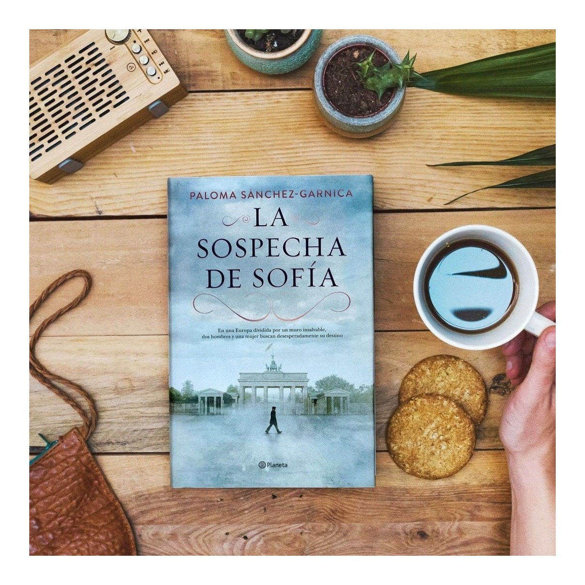 La sospecha de Sofía  (Bolsillo) (Tapa blanda) 7