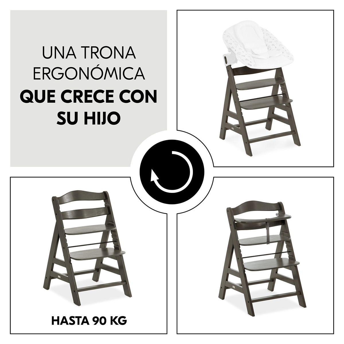 Trona Evolutiva  Hauck  Alpha+ Gris oscuro-5