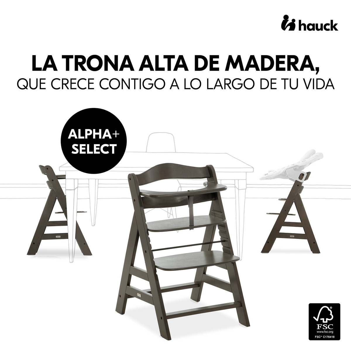Trona Evolutiva  Hauck  Alpha+ Gris oscuro-2
