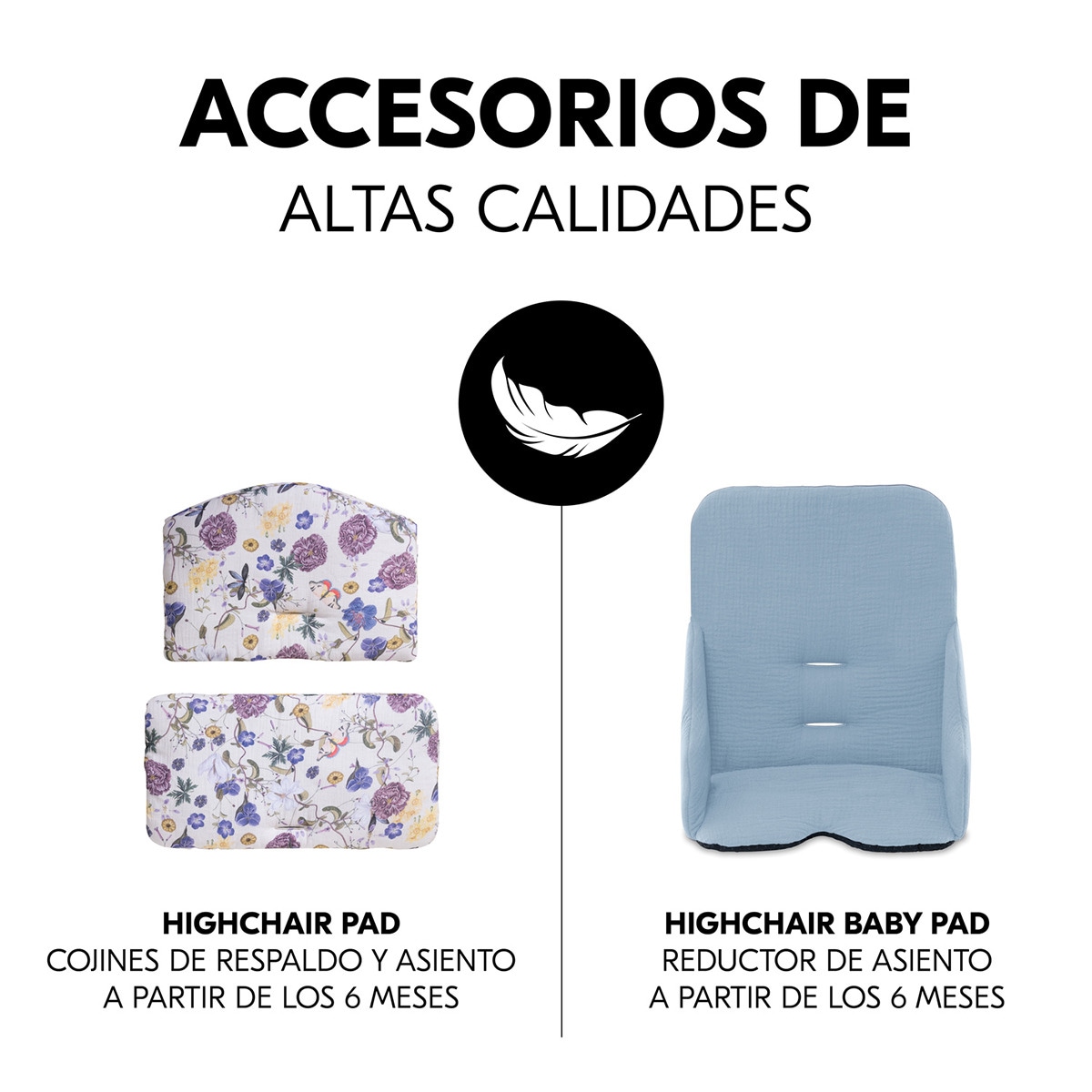 Trona Evolutiva  Hauck  Alpha+ Gris oscuro-11
