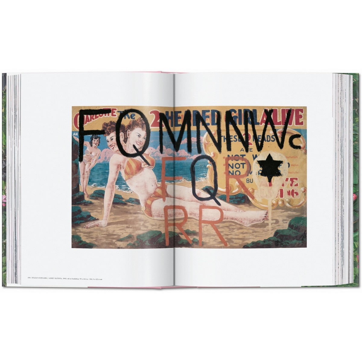 Julian Schnabel (Capa dura) 22