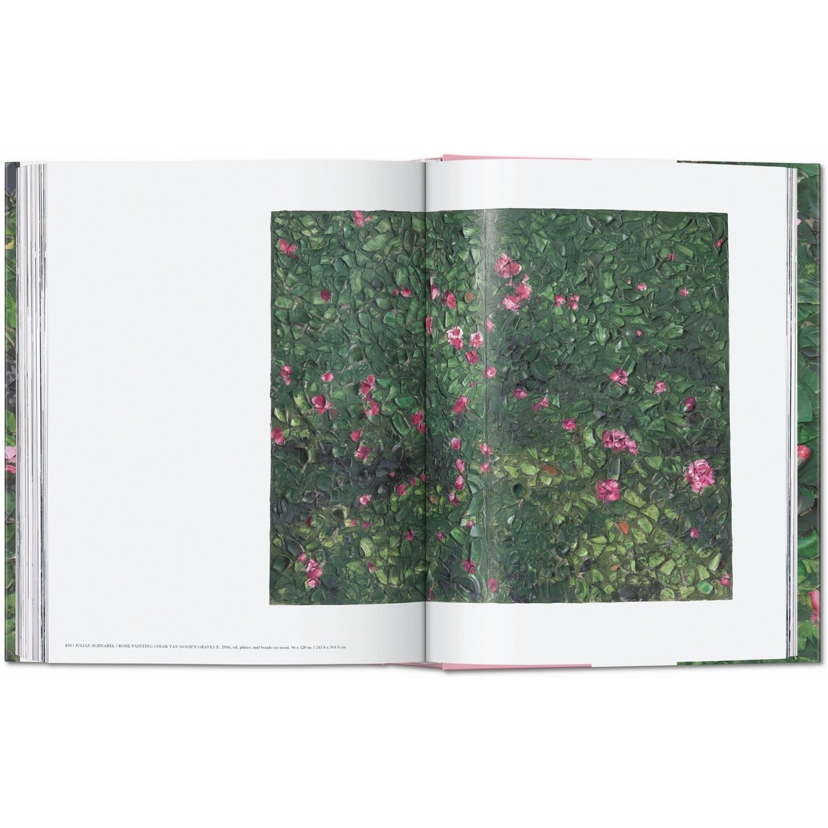 Julian Schnabel (Capa dura) 12