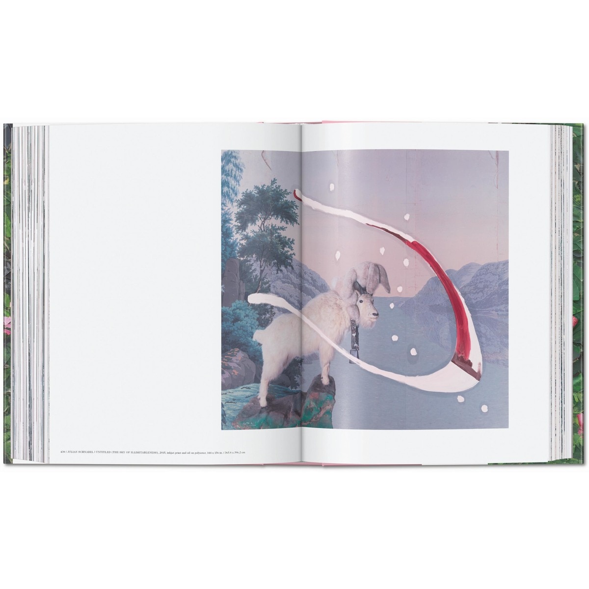 Julian Schnabel (Capa dura) 5