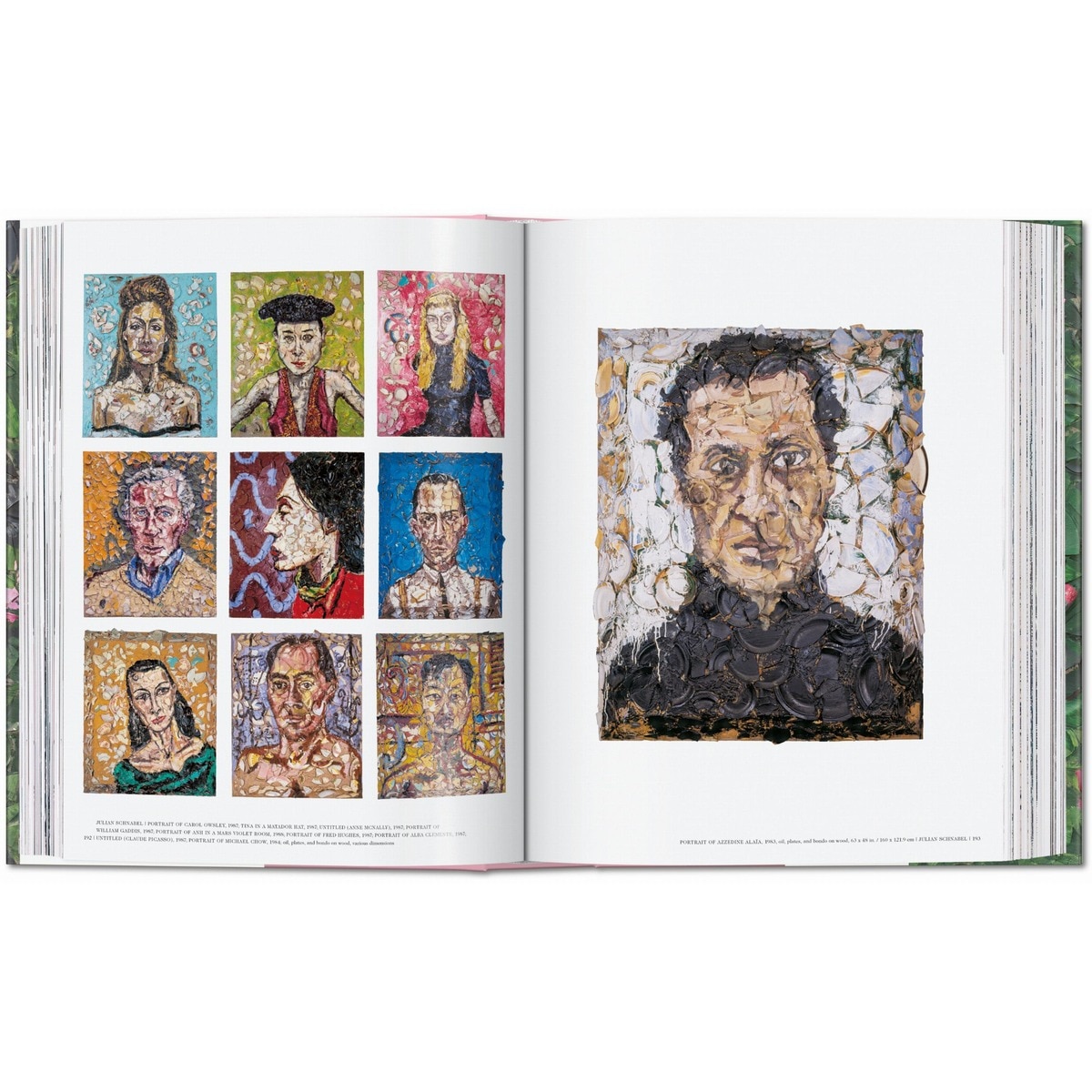Julian Schnabel (Capa dura) 8