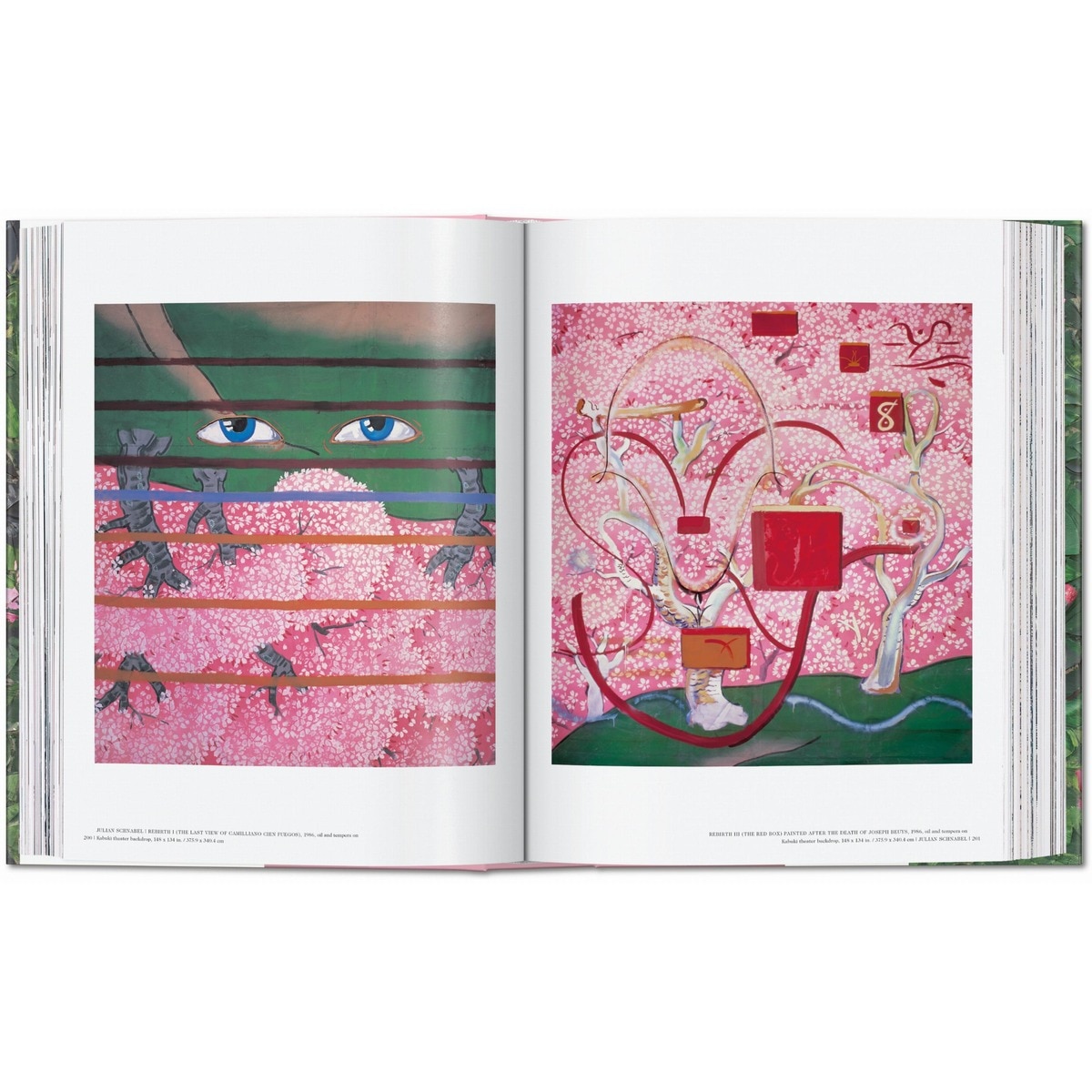 Julian Schnabel (Capa dura) 4