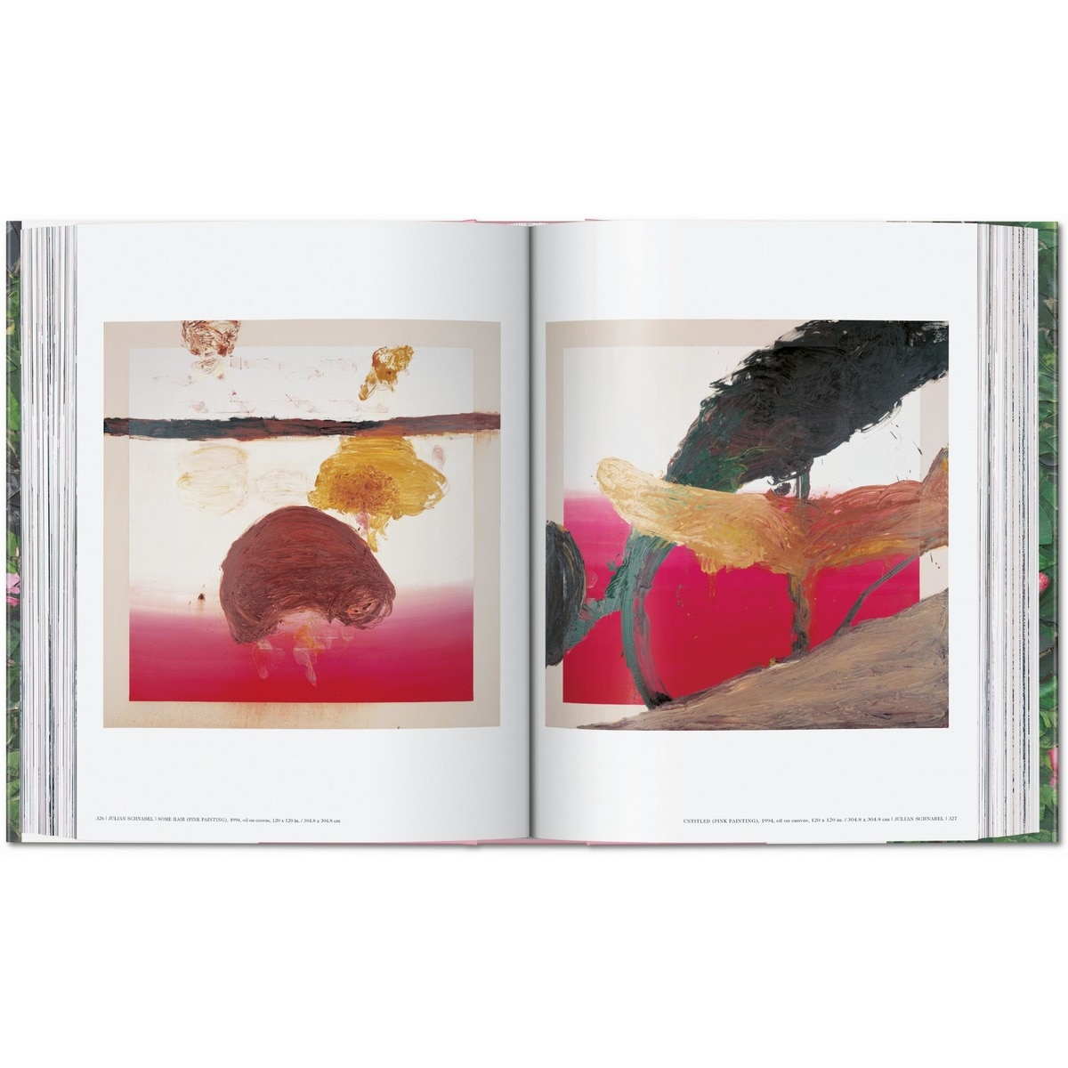 Julian Schnabel (Capa dura) 19