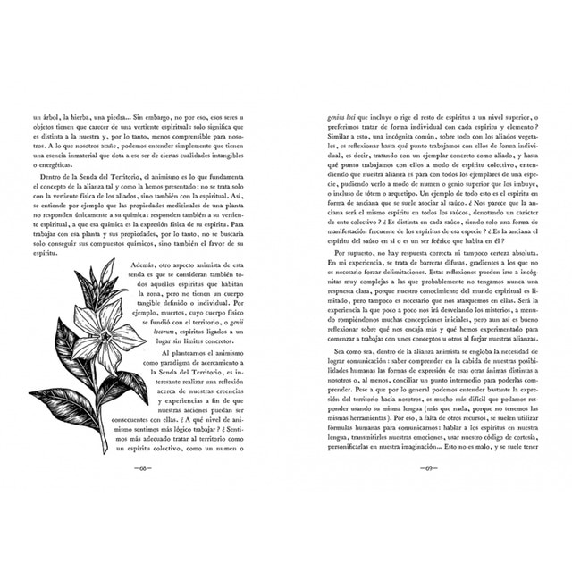 Hacia lo salvaje: La senda espiritual del territorio(Tapa dura) 2