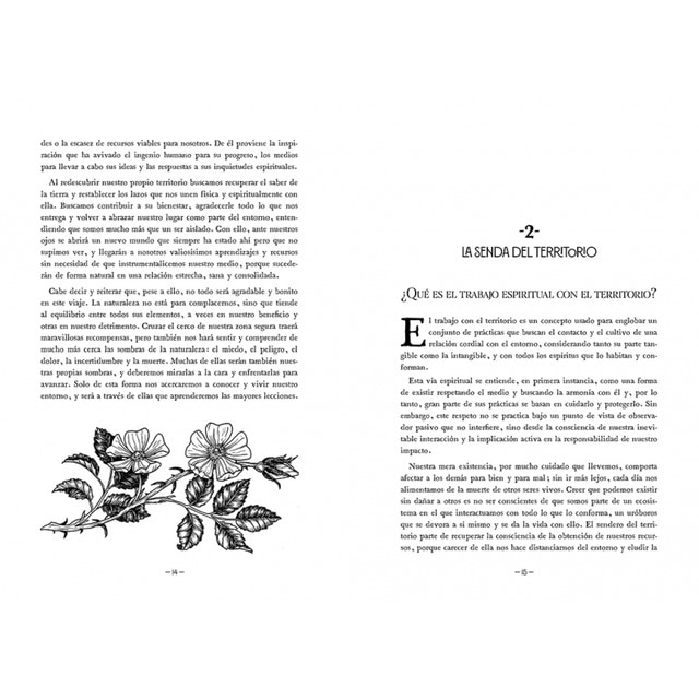 Hacia lo salvaje: La senda espiritual del territorio(Tapa dura) 3
