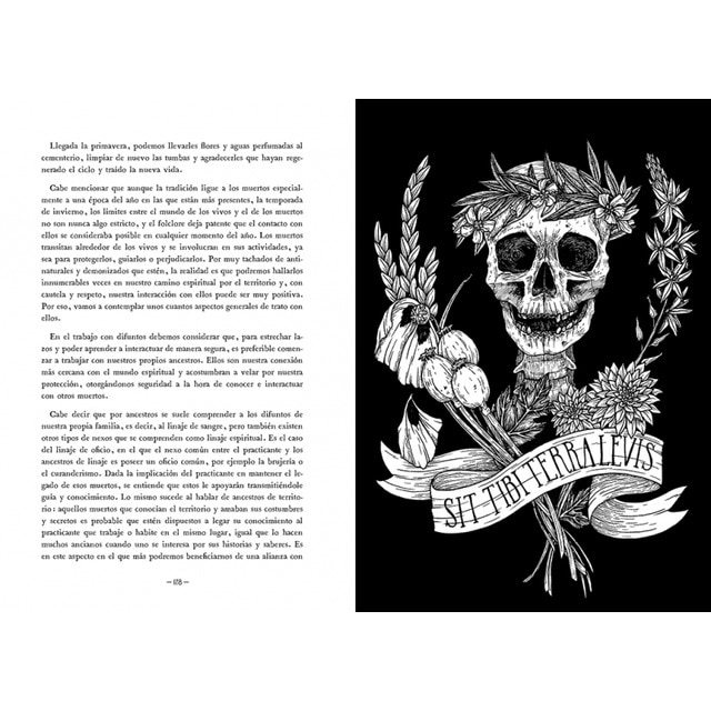 Hacia lo salvaje: La senda espiritual del territorio(Tapa dura) 5