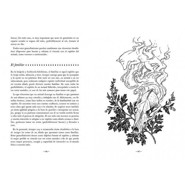 Hacia lo salvaje: La senda espiritual del territorio(Tapa dura) 6