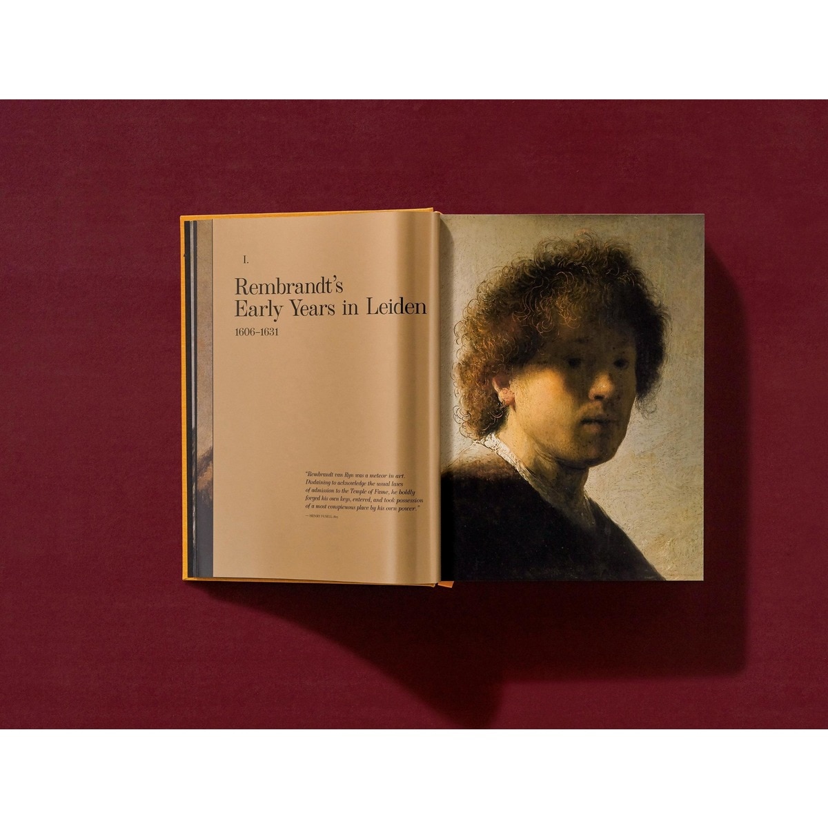 Rembrandt. The Complete Paintings (Capa dura) 10