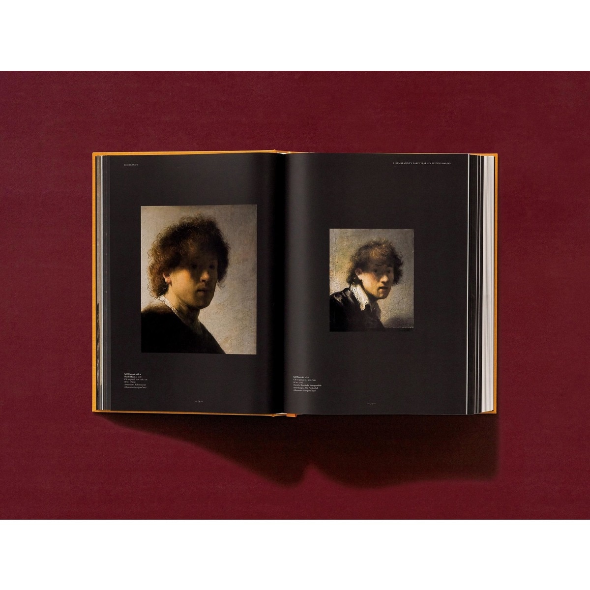 Rembrandt. The Complete Paintings (Capa dura) 2