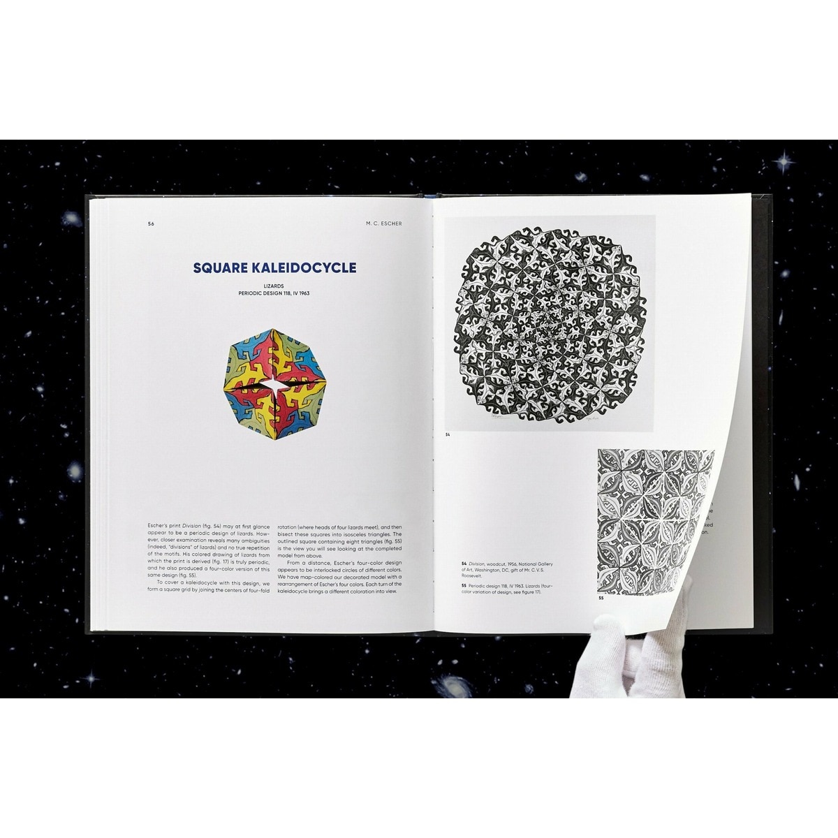 M.C. Escher. Kaleidocycles 6