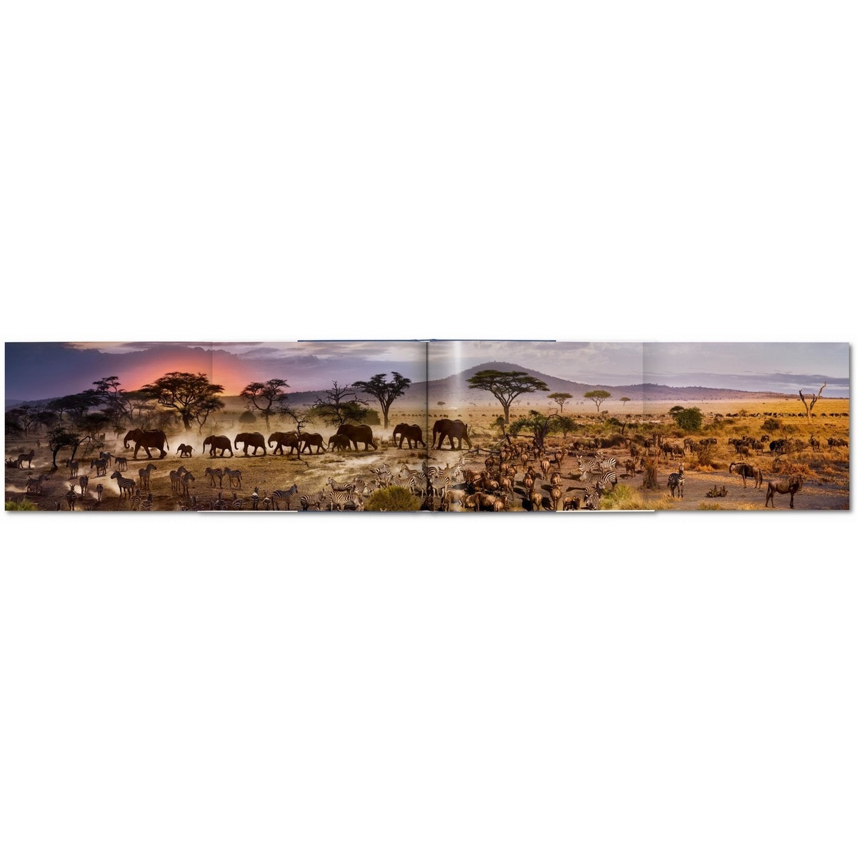 Stephen Wilkes. Day to Night (Capa dura) 6