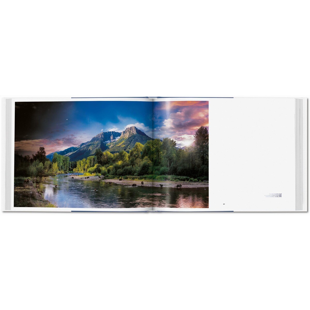Stephen Wilkes. Day to Night (Capa dura) 11