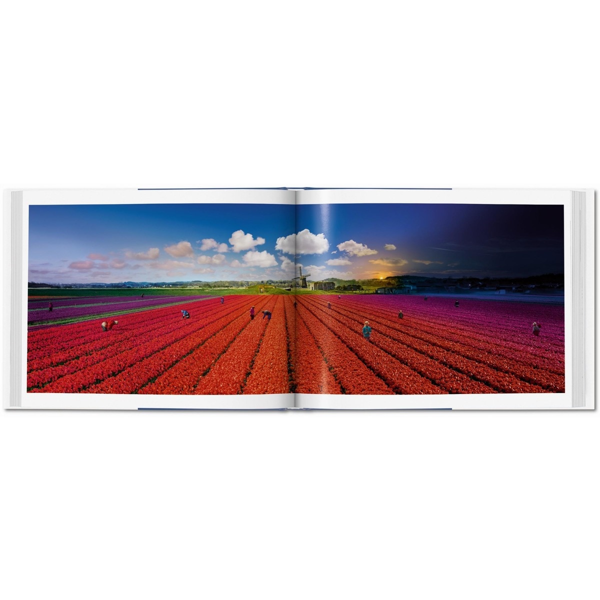 Stephen Wilkes. Day to Night (Capa dura) 12